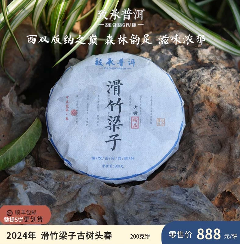 滑竹梁子 | 勐海2024年古树头春 云南普洱生茶 200克饼