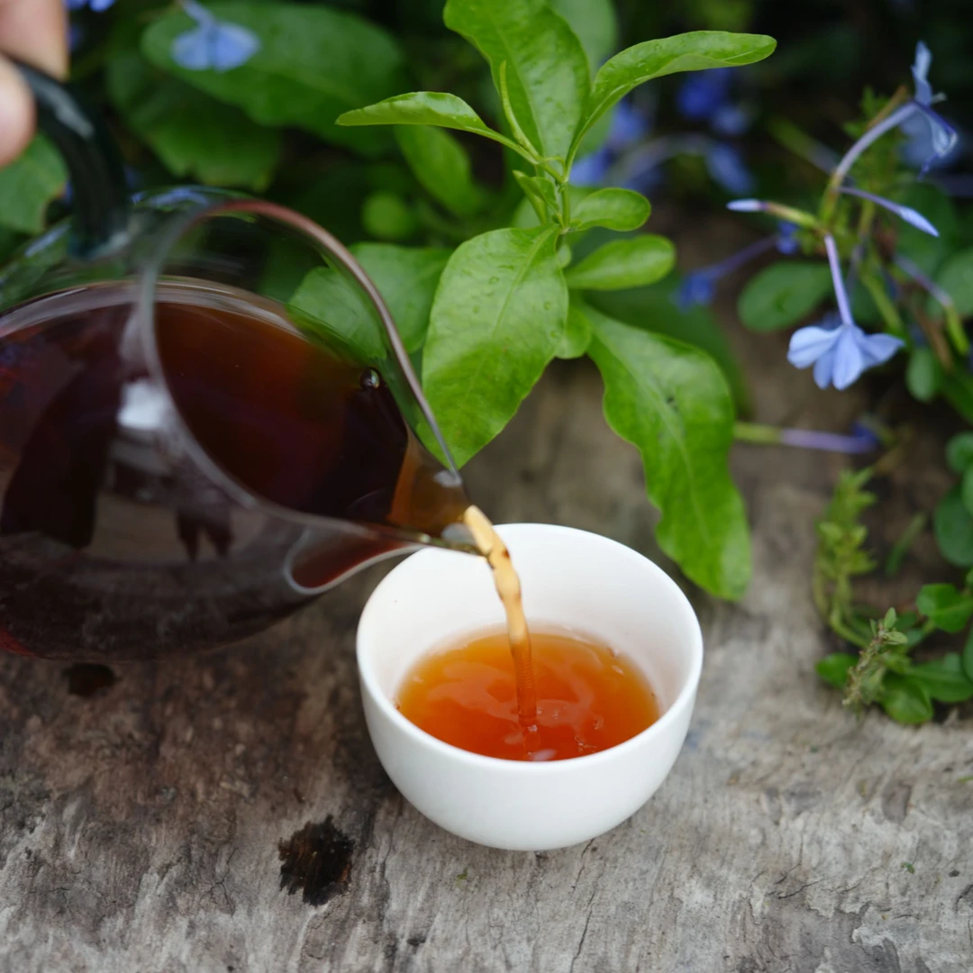 老曼峨古树熟散料| 勐海 2018年云南普洱古树熟茶（古树春茶）50克