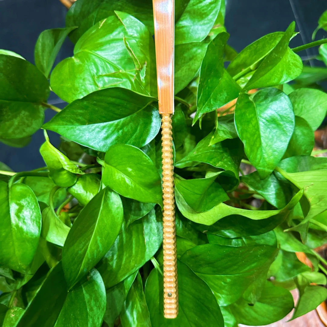 张仕鹏手制 95老玉竹竹节三合青 文玩苏扇 默认不粘扇面