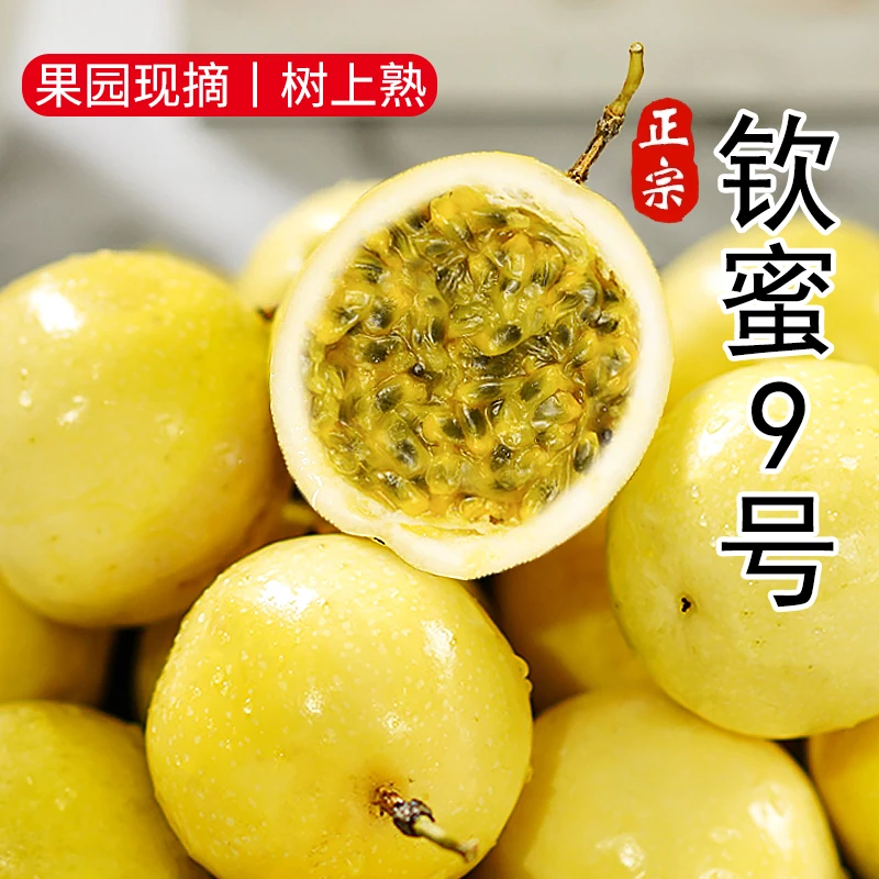 广西纯甜钦蜜九号黄金百香果9号百香果当季新鲜水果中果百香果5斤