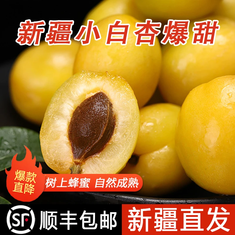 新疆小白杏2斤装现摘现发新鲜香甜水果饱满水润酸酸甜甜顺丰空运