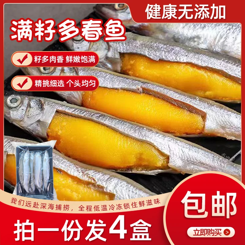 宫鲜福多春鱼满籽新鲜烧烤食材,家用海鲜水产,鱼类产品4盒共2斤