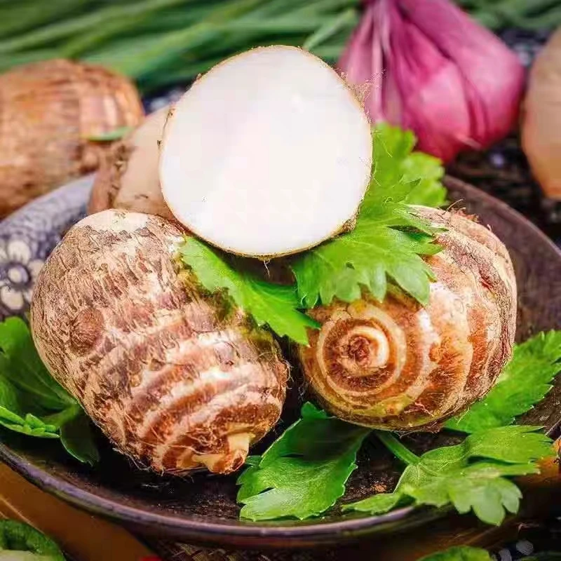 【老品种芋头】奶香粉糯芋头五斤