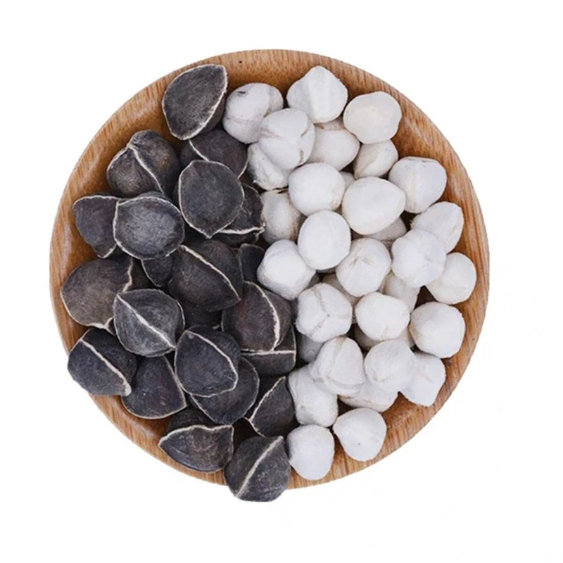 小魏新鲜辣木果250/500克