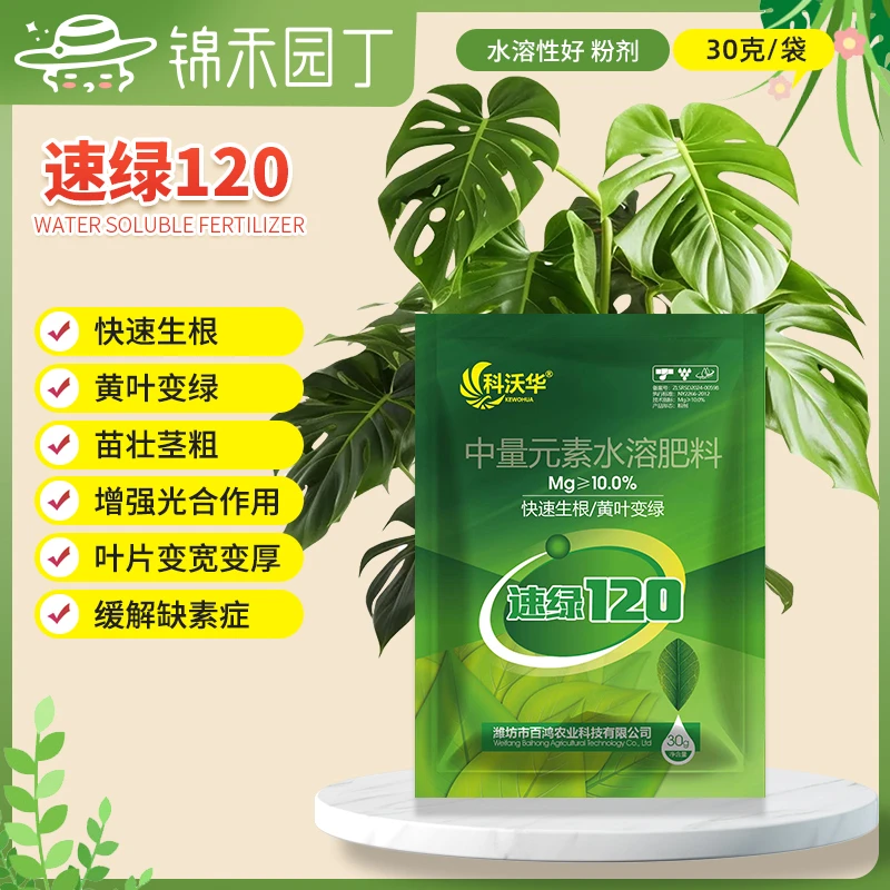 速绿120花卉绿植物叶绿素枝繁叶茂黄叶专用增绿增厚营养液叶面肥
