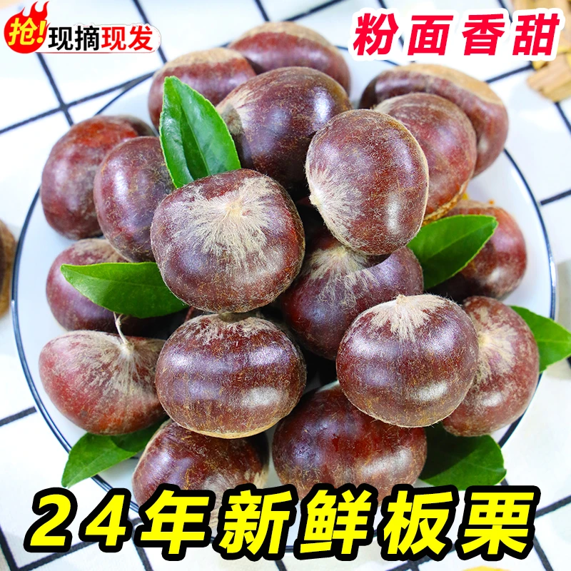 现摘2024丹东鲜板栗带箱5斤净果4.5-4.8斤鲜栗子生嫩大板栗野生