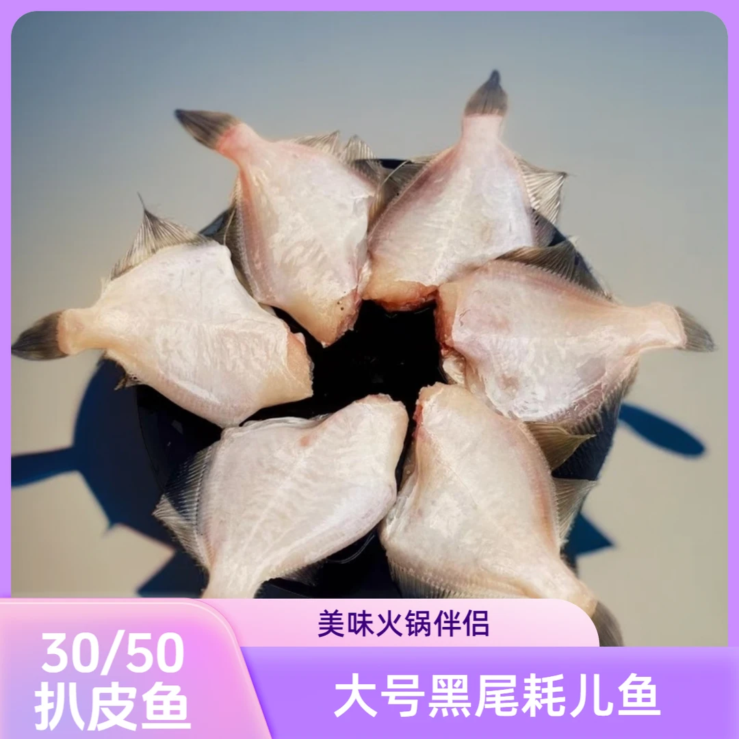 新鲜冷冻重庆耗儿鱼新鲜扒皮鱼冰鲜马面鲀马面鱼鲜冻剥皮鱼工厂