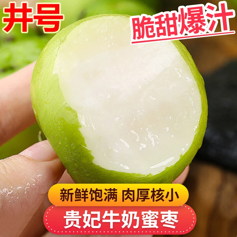 福建贵妃牛奶青枣1斤3斤5斤礼盒装清甜新鲜产地直发优质水果50g+