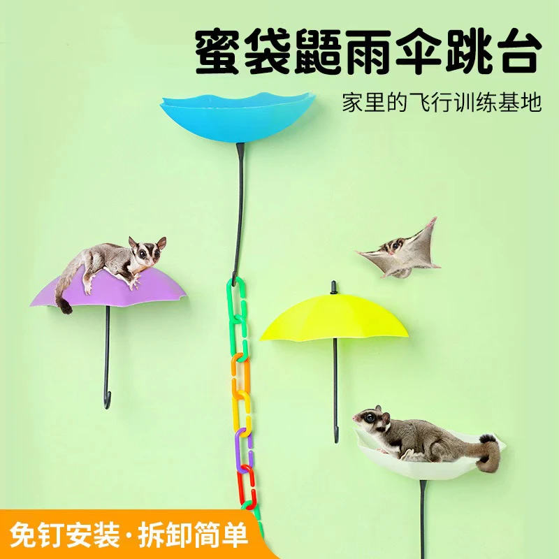 蜜袋鼯起飞跳台飞行站台小飞鼠攀爬玩具站台滑翔蜜袋鼬必备用品全