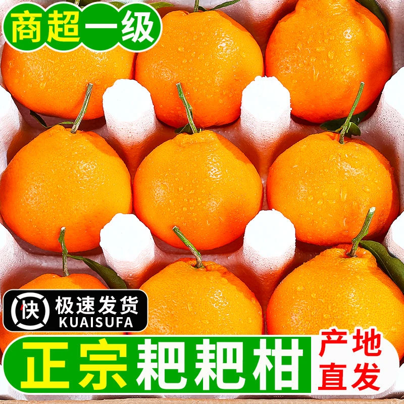 正宗春见耙耙柑水果四川不知火丑橘桔子现摘多汁新鲜水果1-8斤装