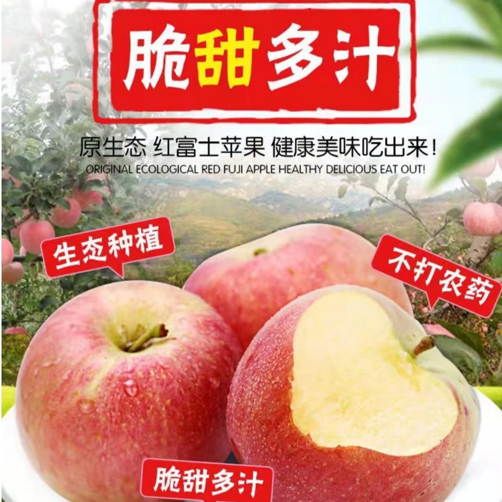 【23年新苹果】陕西新鲜当季晚熟红富士丑苹果 脆甜多汁4.5-5斤/9