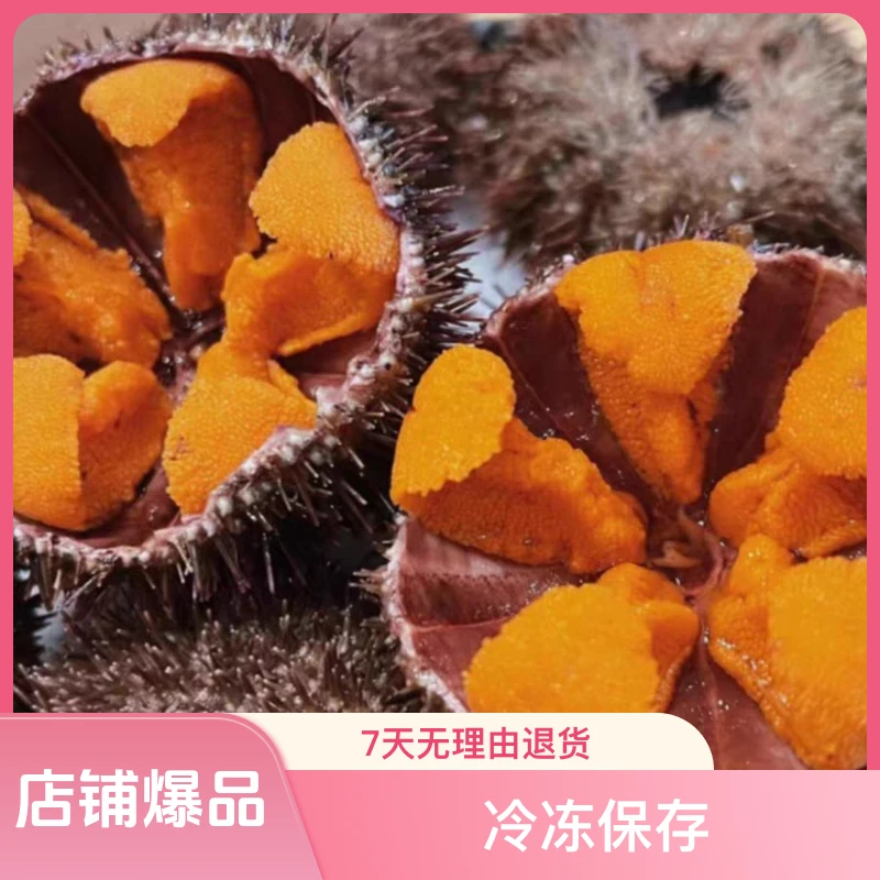 【渔岛二姐】岛里马马粪胆生肉（不可生吃）