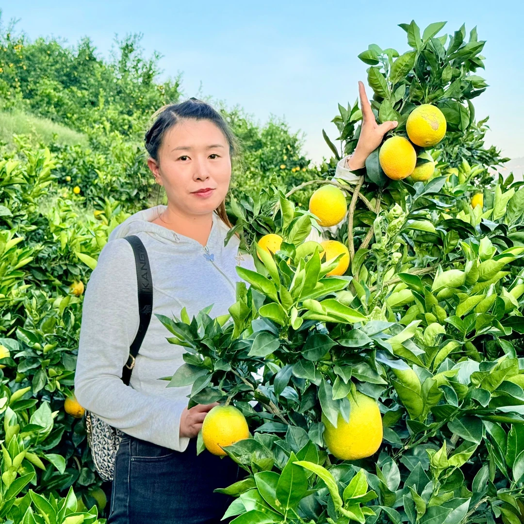 纽荷尔脐橙（9斤）