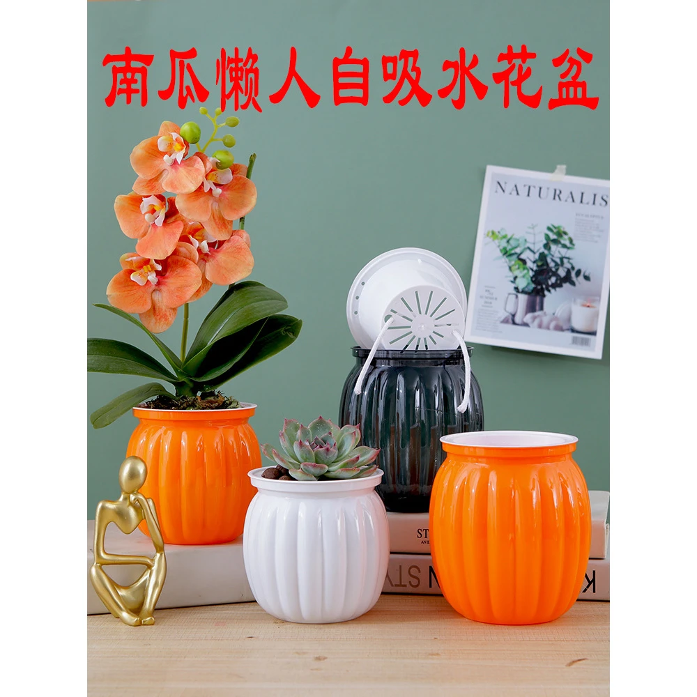 花盆网红盆创意南瓜懒人透明自吸水培绿萝发财树塑料花盆透气花盆