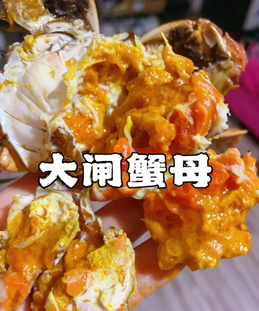 江苏大闸蟹2-4两母
