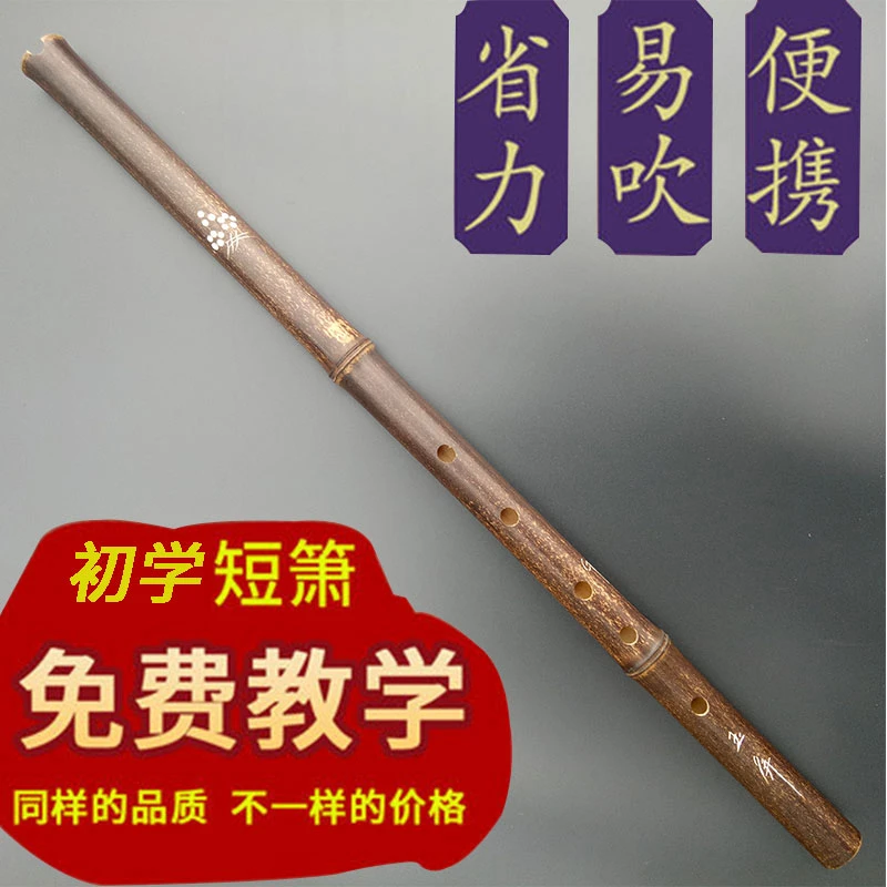 九节素箫紫竹古萧八孔短萧笛古风乐器专业初学入门玉屏长洞箫手工