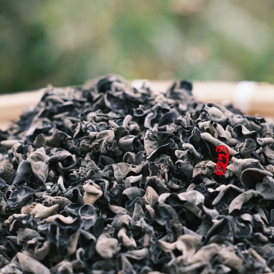 大别山特产黑木耳桑枝木耳