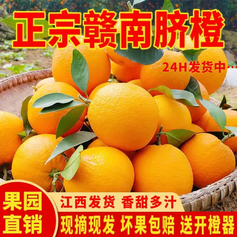 皮薄纯甜农家自然采摘天然正宗江西赣南脐橙剥橙子香橙甜橙包邮