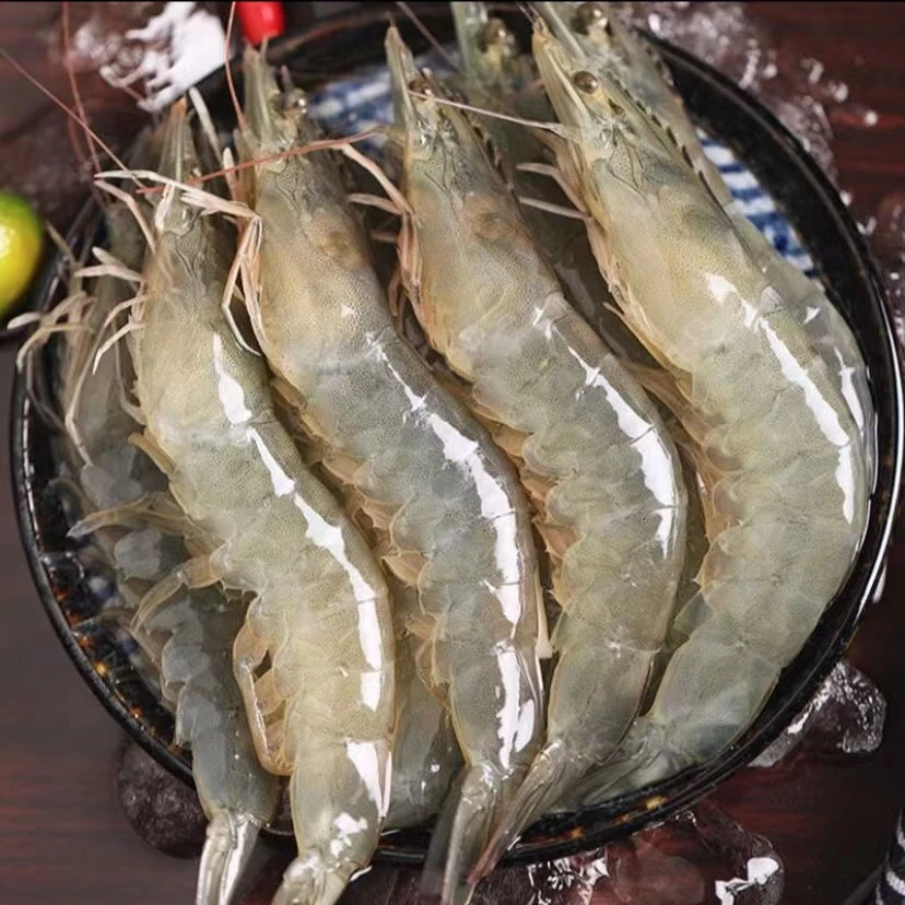 连云港发货  新鲜速冻海水大虾盐冻虾