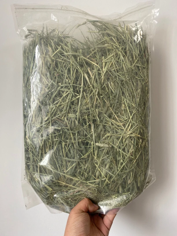 兔爹提草 加拿大二番一压提摩西草 适口性强