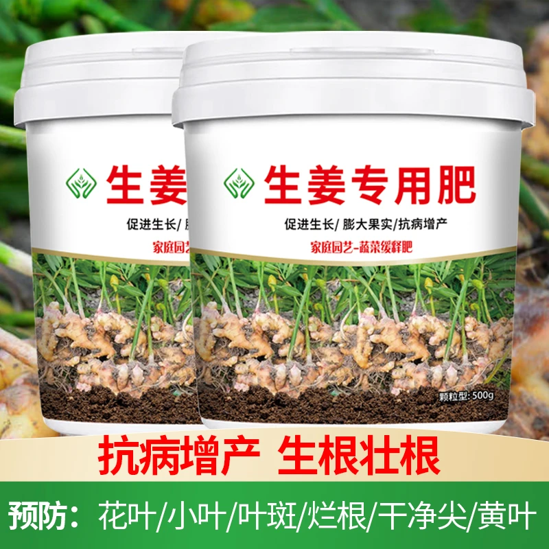 生姜专用肥壮根抗病促进生长改善微量元素园艺营养生物有机肥