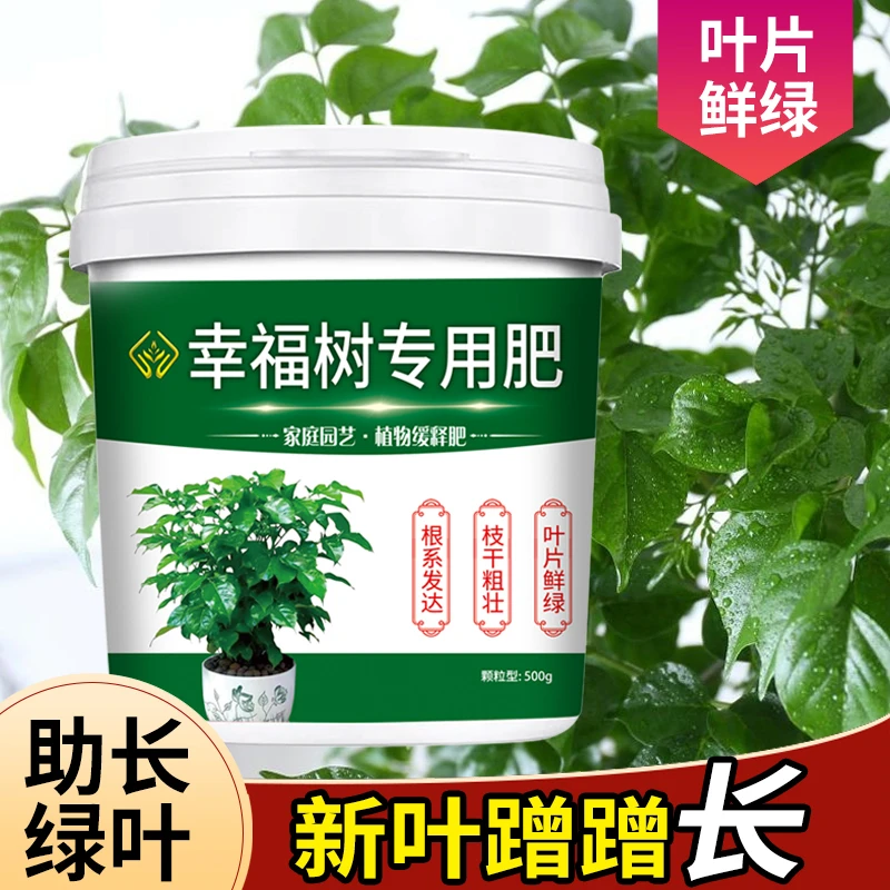 【新绿叶猛长】幸福树专用营养颗粒缓释肥防黄叶枯叶掉叶下垂不伤根