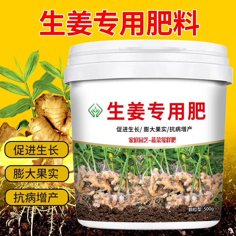 生姜肥料专用肥促进生长均衡营养缓释颗粒肥料蔬菜有机肥园艺肥料