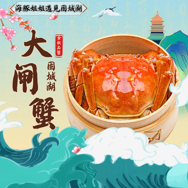 【活蟹】精品固城湖大闸蟹 （2.4-2.6两）/只  全母蟹  10只  顺丰