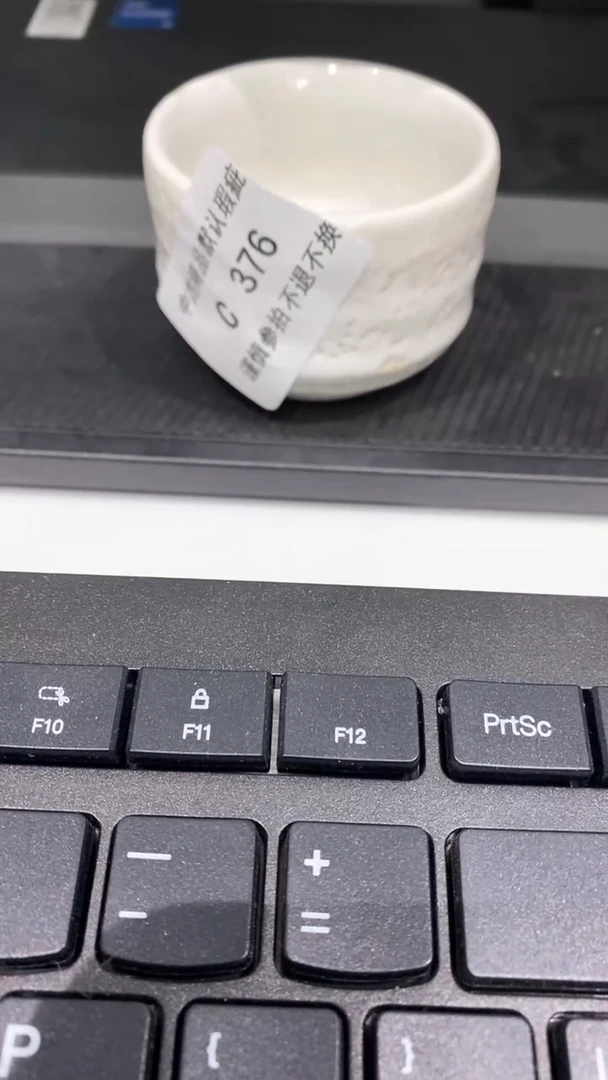 【闪购商品】陶瓷陶瓷