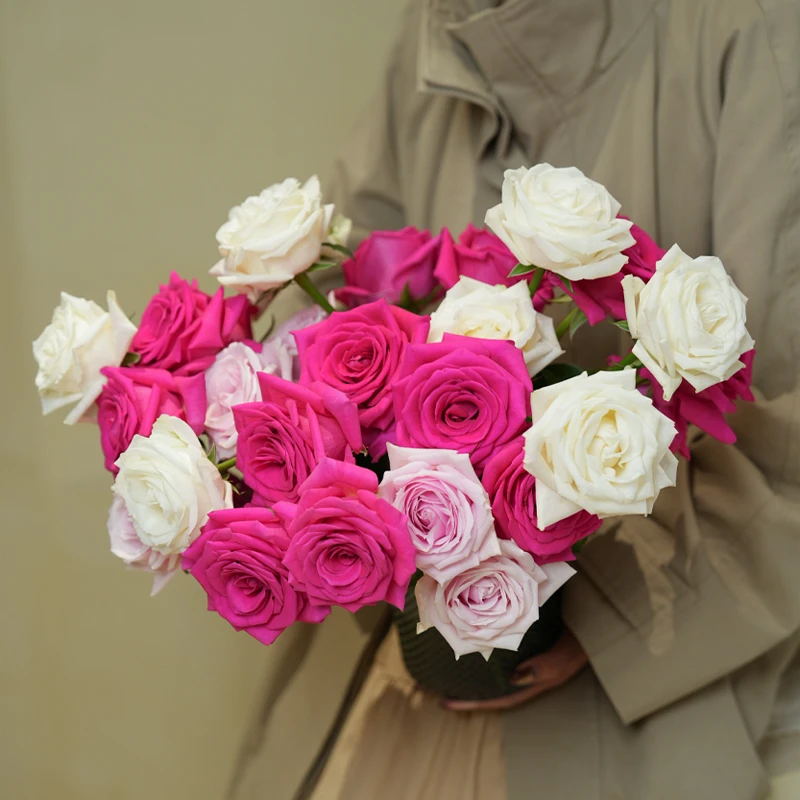 【弗洛伊德+粉红雪山+白雪山】枝长50-55cm 一单顺丰包邮 现采现发