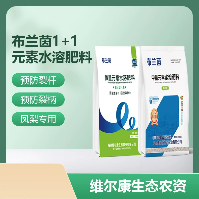 【布兰茵1+1】微量+中量元素水溶肥料防治凤梨裂杆裂柄