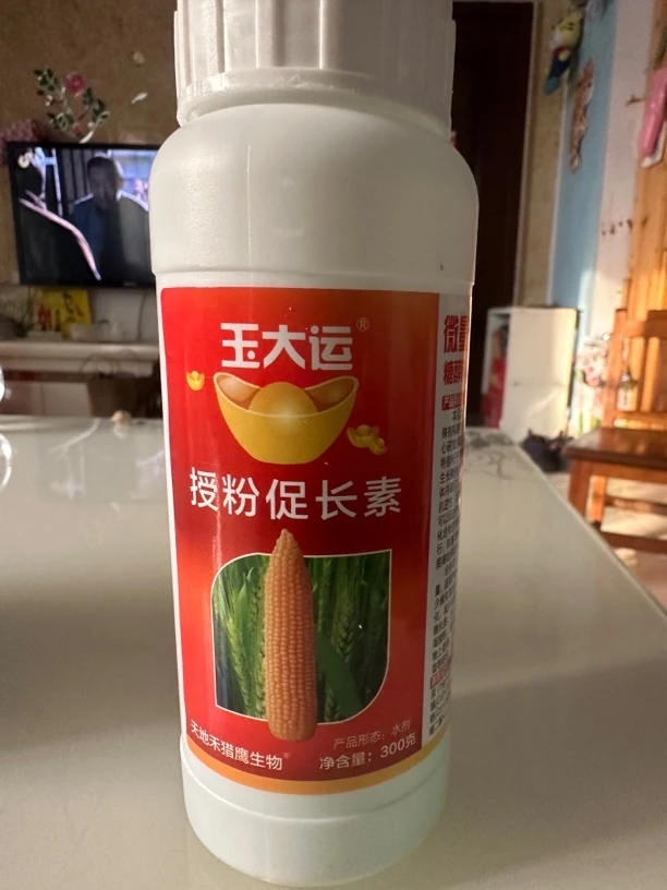 玉大运授粉拉长素,抗逆增产