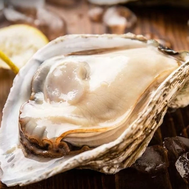 山东威海正宗乳山生蚝牡蛎8斤送2斤装顺丰快递发货鲜活海蛎子