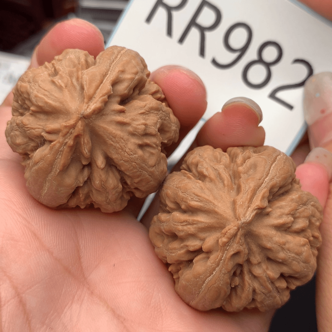 文玩核桃把件毕业霸王龙3 9