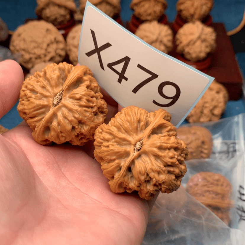 【闪购商品】文玩核桃把件43粗筋