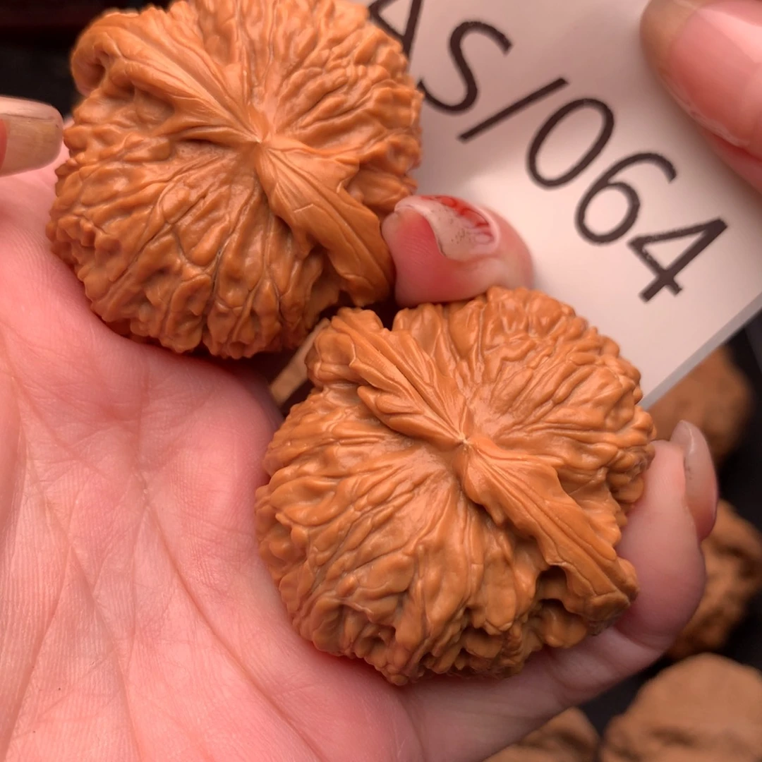 文玩核桃把件白狮子42