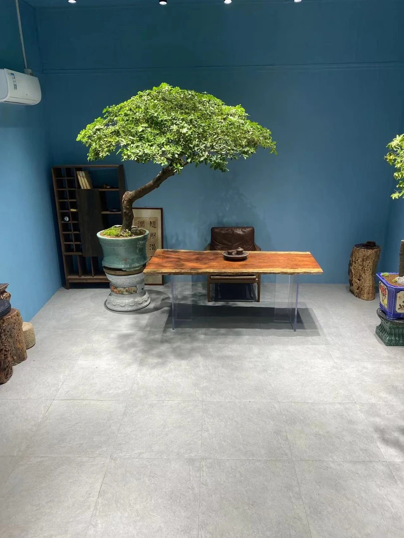 精品盆景一盆一景（名卉野趣）