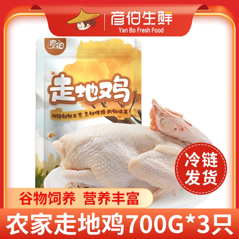 彦伯3只走地鸡鸡肉质紧实新鲜现杀700g/只X冷冻腌制鲜嫩营养散养