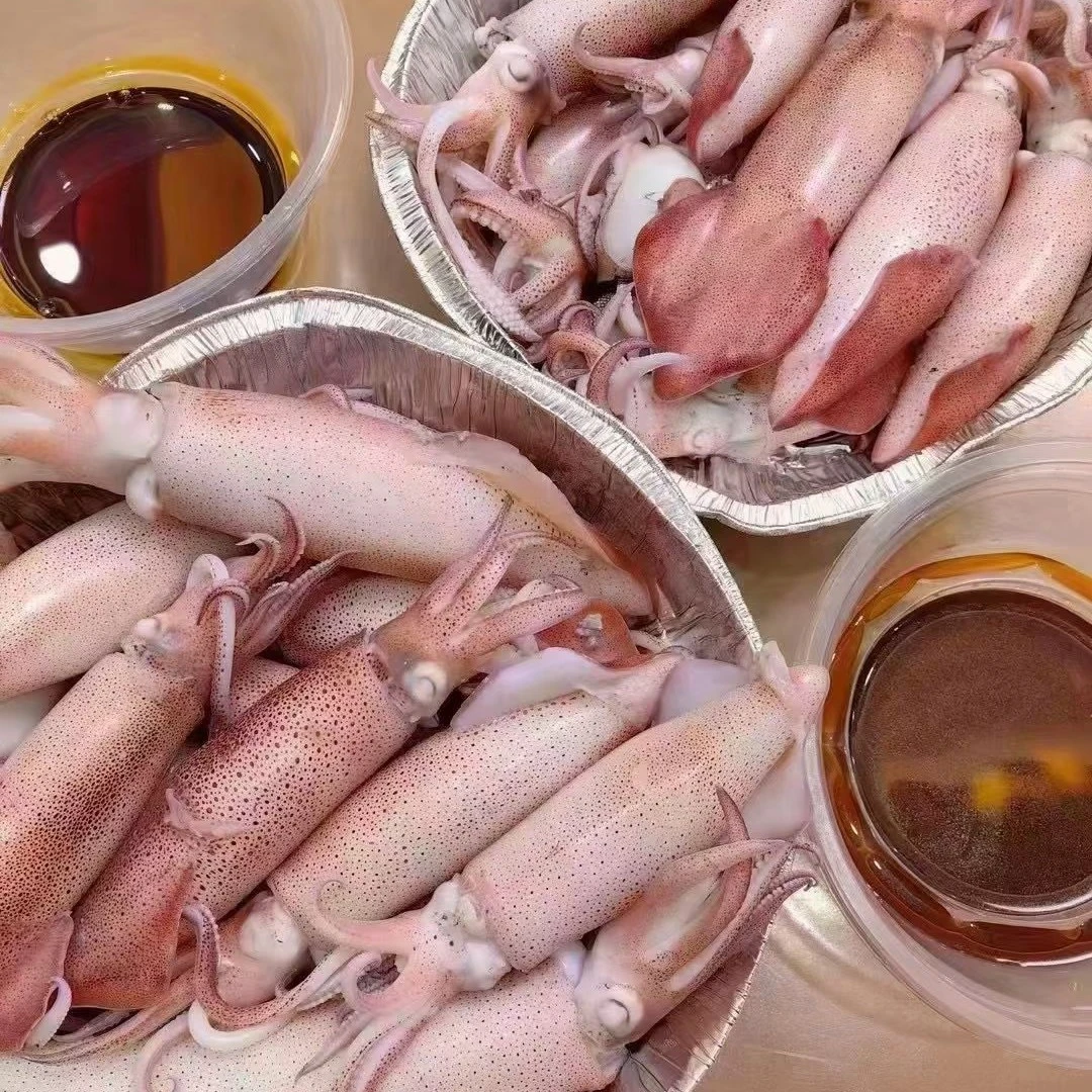 网红顶级海鲜食材”活招牌”手钓东山小管白灼爆炒油焖口感Q弹爽脆