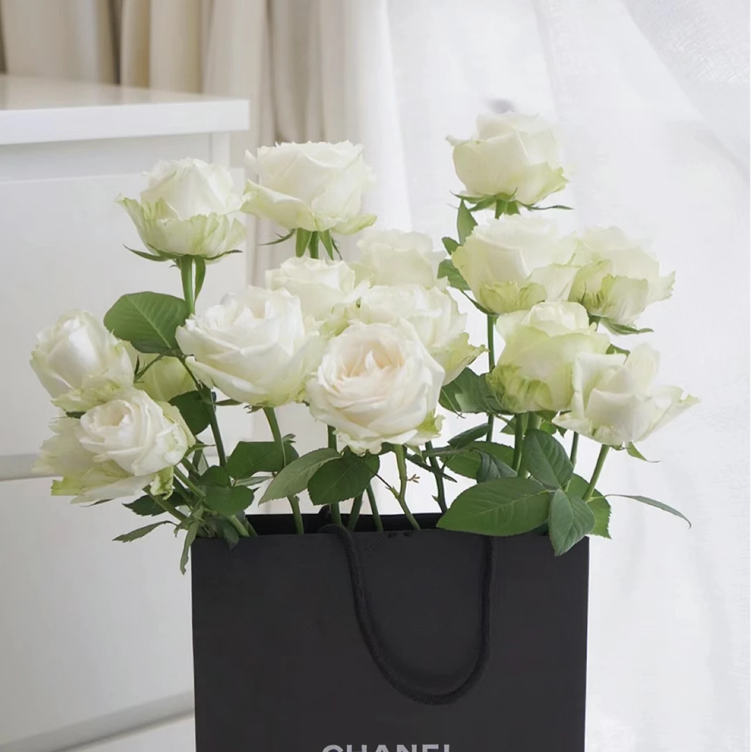 （2单包邮一单不发货）单头骄傲玫瑰 云南鲜花基地鲜切花