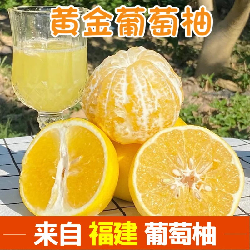 【坏果包赔】黄金葡萄柚超甜多汁3/5/9斤新鲜现摘水果送手动榨汁器