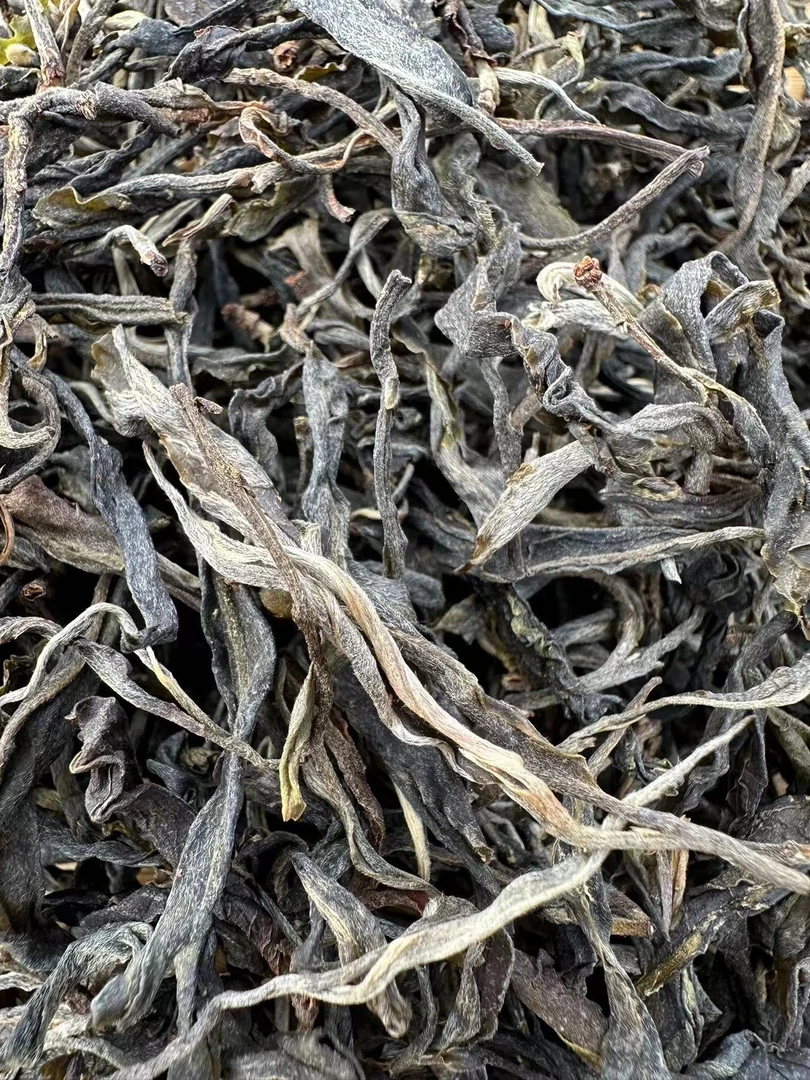 2023年忙肺核心区老树茶二波茶