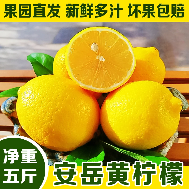 小果四川安岳柠檬当季皮薄多汁新鲜水果榨汁奶茶包邮