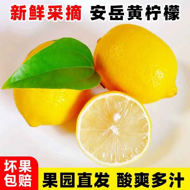 小果升级发中果四川安岳柠檬当季皮薄多汁新鲜水果榨汁奶茶包邮