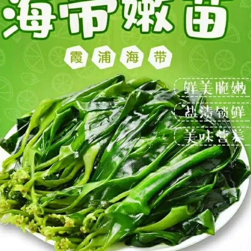 盐渍海带苗霞浦海带嫩苗10袋*250克新鲜海带嫩芽凉挫火锅皆可