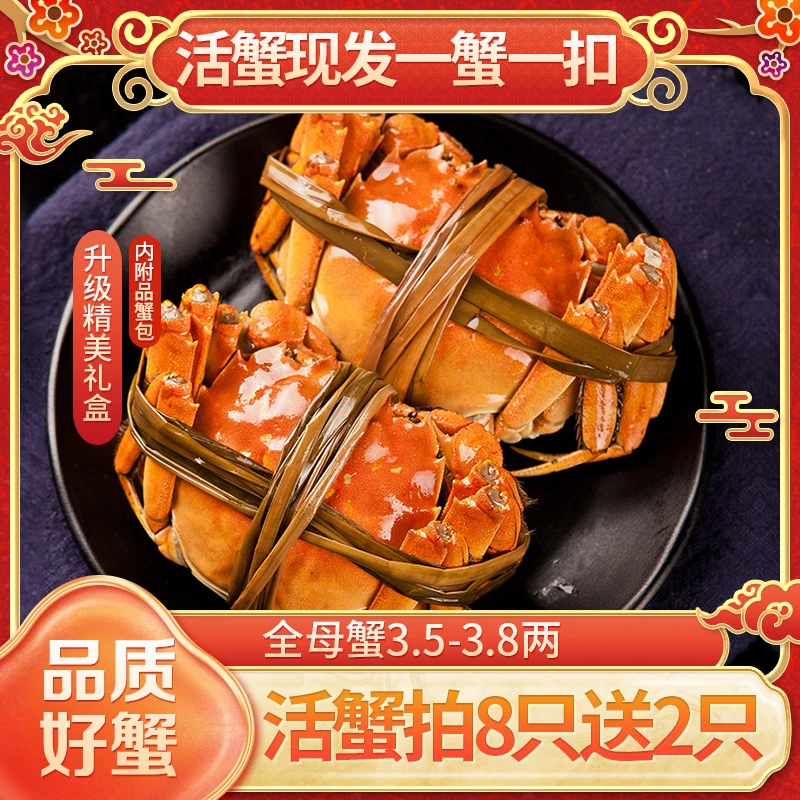 【活蟹拍8只发10只】3.5-3.8两大母蟹赛美味苏州老牌甄选金品大闸蟹