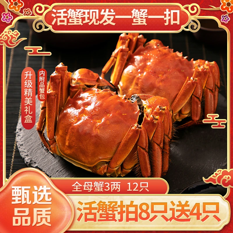 【活蟹拍8只发12只】3两大母蟹赛美味苏州老牌甄选金品大闸蟹精挑