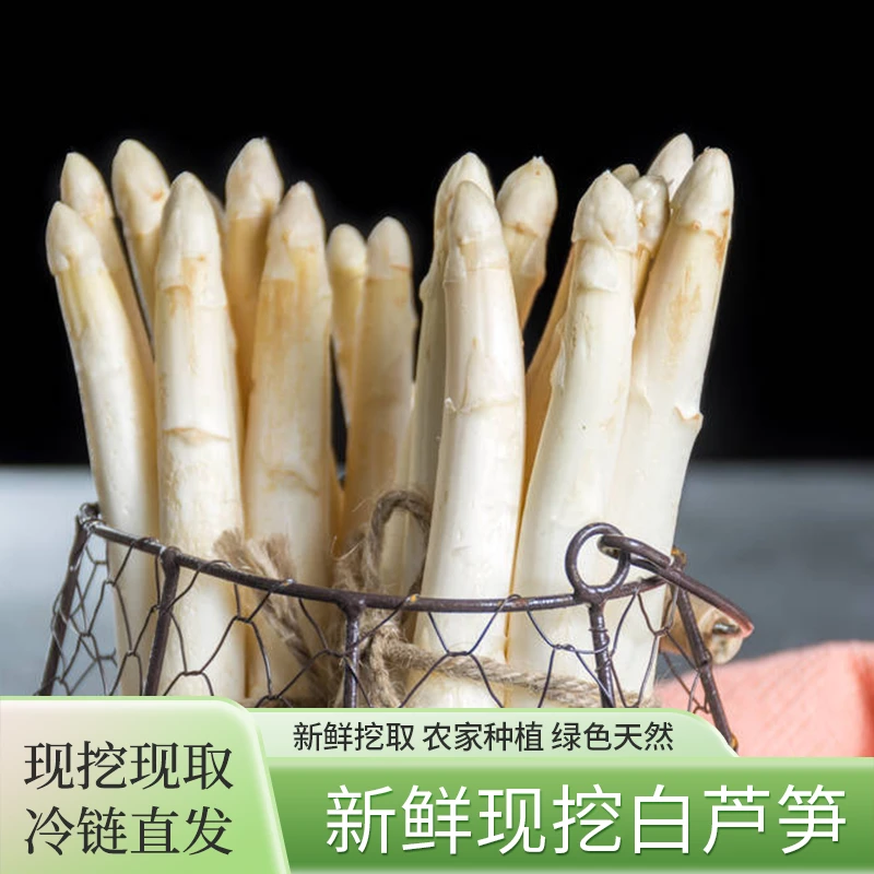 山东特产白芦笋 新鲜绿色营养天然脆爽脆嫩自种产地精品二斤