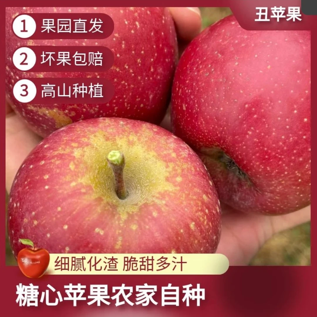 云南昭通红富士丑苹果5斤9斤装新鲜采摘营养健康脆甜多汁高品质果