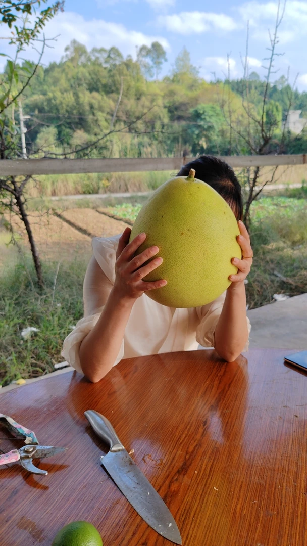 【功橙名柚】2500g5000g果肉橙红色不夹口不涩口不麻口花椒树林套种